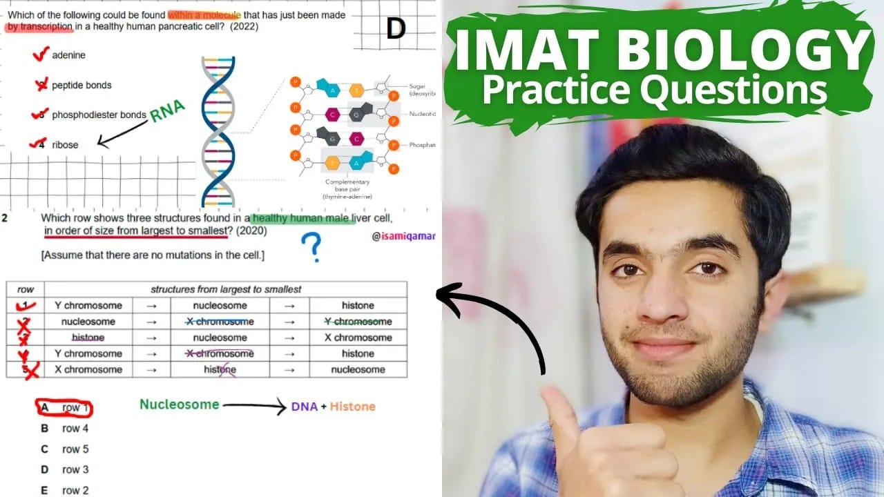 IMAT biology practice questions